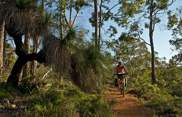 Munda Biddi, Australia